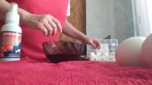 Обработка инкубационных яиц. Монклавит-1