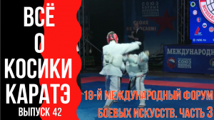 Выпуск 42. Всё о Косики каратэ. 18-й Международный форум боевых искусств. Часть 3.