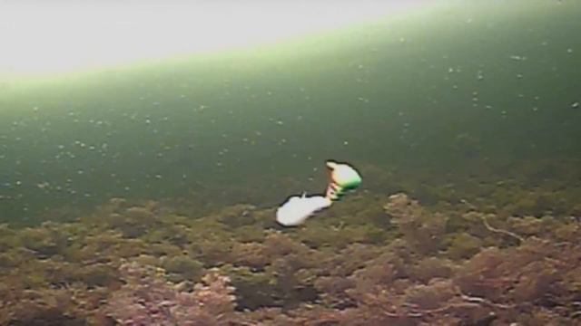 Видеокамера для подводной съёмки CALYPSO UVS-03 PLUS