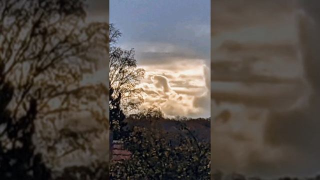 204?Послание от Господа "И вот закрою двери! И благодать отнимется уже!" смотреть онлайн