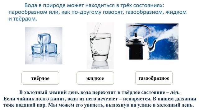 Естествознание, 2 класс, урок 7, Что мы знаем о воде