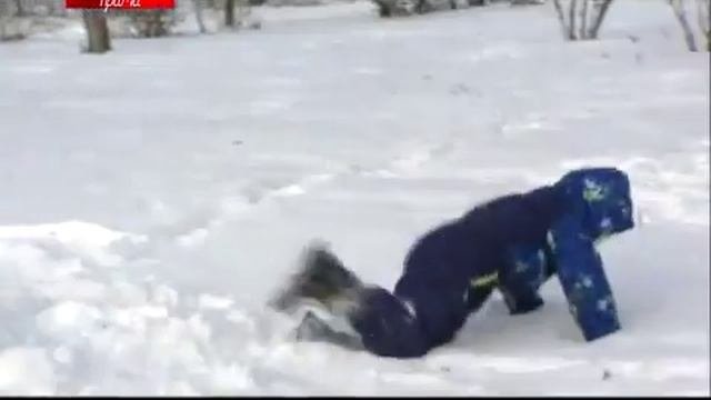 Прима ТВ. Спецрепортаж 