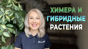 Химера и гибрид растений – чем они отличаются?