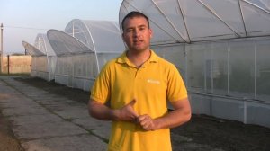 КАК КОРМИТЬ ТОМАТ - во время налива и созревания!! Агро Движ рекомендует))
