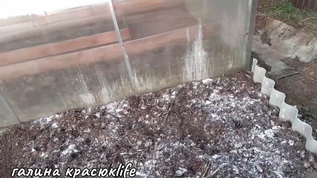 ДЕЛАЮ ДОРОЖКИ В ТЕПЛИЦЕ БЕЗ ТРАВЫ.