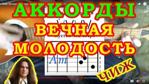 Вечная Молодость Аккорды ? ЧИЖ и КО Сергей Чиграков ♪ Разбор песни на гитаре ♫ Гитарный Бой