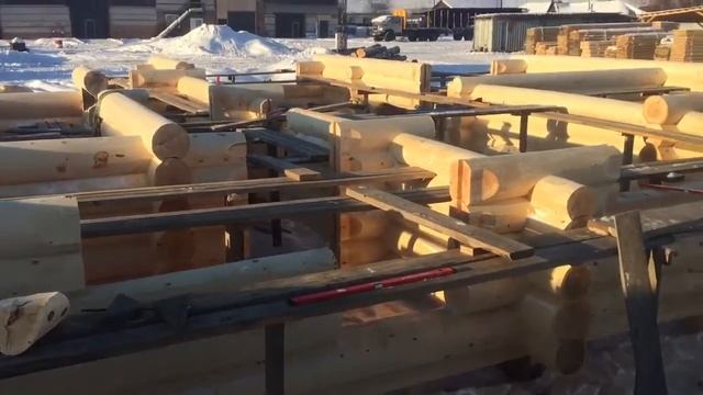 Бревно из кедра под домостроение смотреть онлайн