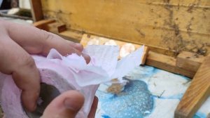 МР 512 мощность и пробивная сила витая пружина против газовой видео