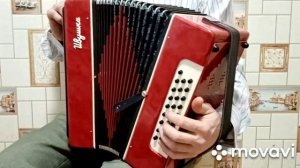 "Ивушка" гармонь в идеале.