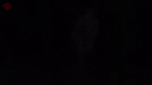 11 ЖУТКИХ РОЛИКОВ ОТ КОТОРЫХ ТЫ ОФИГЕЕШЬ ПОПРОБУЙ НЕ ИСПУГАТЬСЯ