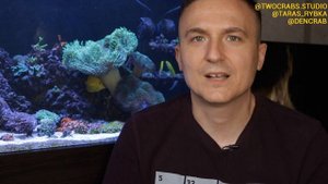 айптазия в морском аквариуме | acreichthys tomentosus | вредители в морском аквариуме | vlog#10