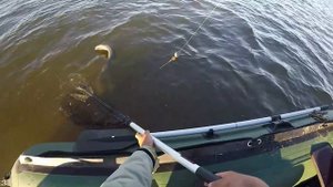 СОМ И САЗАН НА НИЖНЕЙ ВОЛГЕ!  ЗАВОЛЖЬЕ