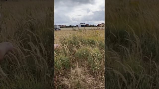 Вынос осей фундамента в натуру