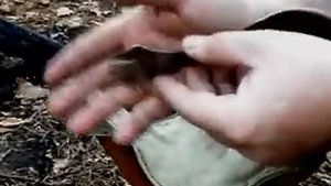 ✔ Вилка-ложка, спорк / Spork
