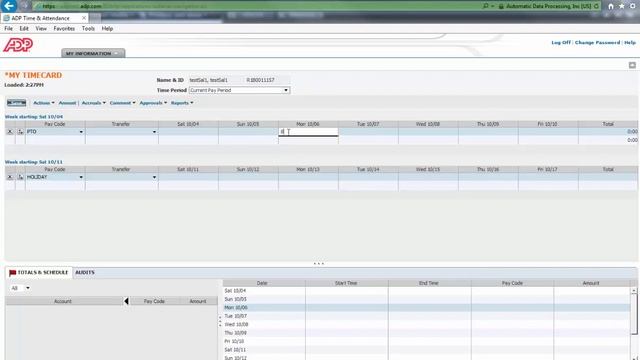 EMS Salaried Login and Time Entry - JAVA смотреть онлайн