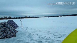 Рыбалка на карьере,пытаемся ловить подлещика