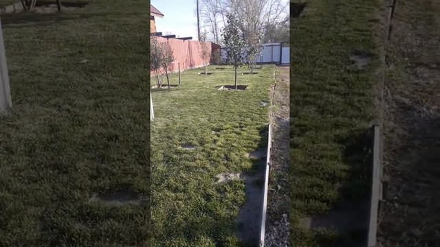 Уход газона- Мятлик МХЛ в зиму! смотреть онлайн