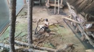 ИСТОРИЧЕСКИЙ МУЗЕЙ №4. САНКТ - ПЕТЕРБУРГ.