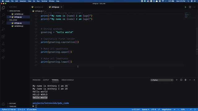 [Programming 101] String Methods