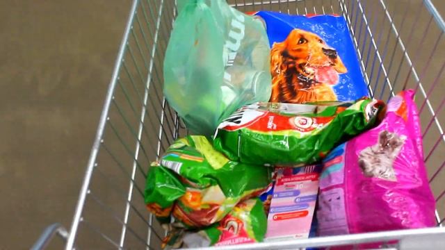 ПОМОГЛИ ЖИВОТНЫМ В ПРИЮТЕ! 15кг КОРМА смотреть онлайн