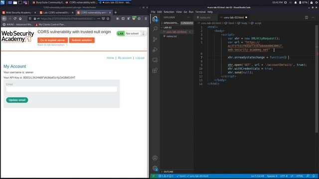 CORS - Lab #2 CORS vulnerability with trusted null origin | Short Video смотреть онлайн