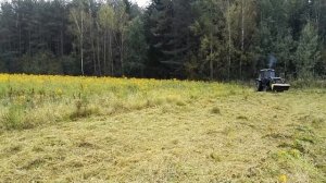 Косим траву трактором БЕЛАРУС МТЗ 82.1