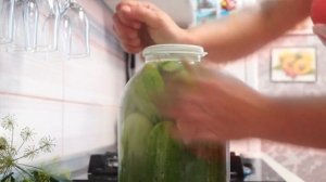 Рецепт соленых огурцов холодным способом.