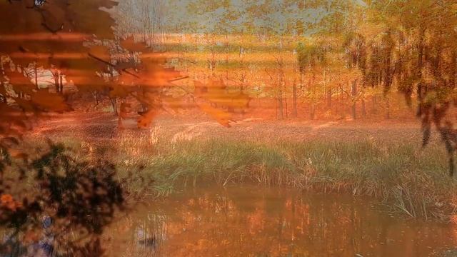 Краски осени смотреть онлайн