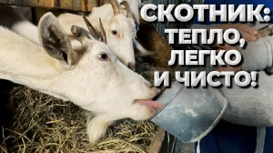 ТЕ САМЫЕ бактерии в подстилке, которые делают биогумус. Ферментационная подстилка для скота.