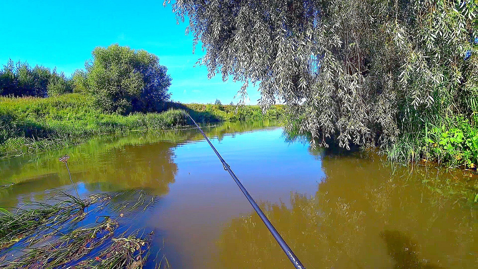 Рыбалка на реке