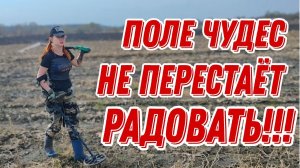 Поле чудес не перестает радовать! В поисках монет и старины. Коп 11.04.24г.