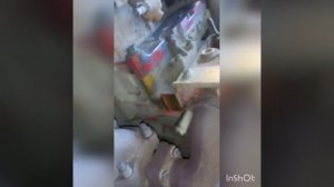 Где находится номер двигателя Cummins на ГАЗ Валдай