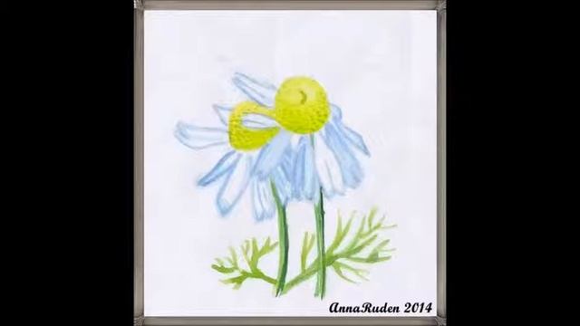 Уроки рисования Видео Альбом №2 Акварельная флора смотреть онлайн