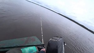 Рыбалка на бортовые удочки.