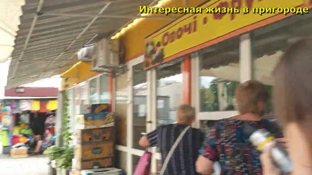 На завтрак яичница, В поисках хрена, Влог