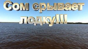 Сом срывает лодку!.mp4