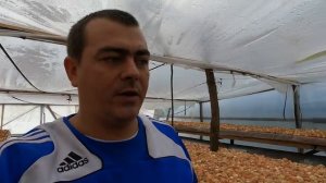 ВСЕ САМЫЕ ОСТРЫЕ ПРОБЛЕМЫ ПРИ ВЫРАЩИВАНИИ ЛУКА НА ПЕРО  ДЛЯ НОВИЧКОВ ЭТО ТОП