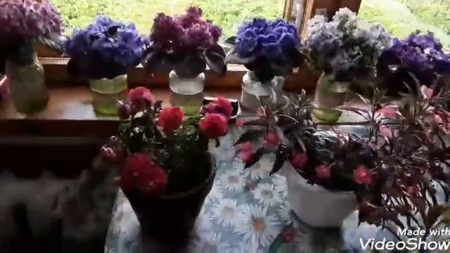 Дача. 30 июля 2019г. смотреть онлайн