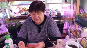 ЖАЛЬ Я РАНЬШЕ ОБ ЭТОМ НЕ ЗНАЛА! ПОСЕВ ЛУКА ЭКСИБИШЕН НА РАССАДУ.