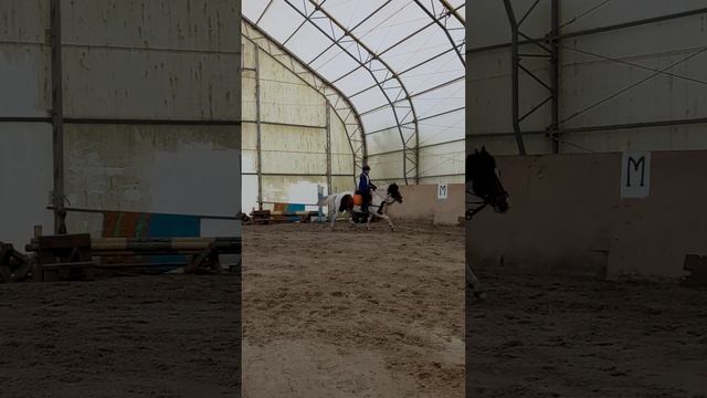 Разминка на галопе перед прыжками