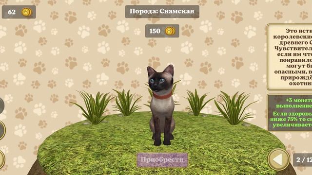 СИМУЛЯТОР КОТА #2 Даша играет фермерской кошкой