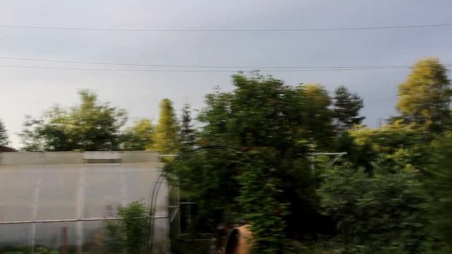 Фаршированные перчики с картошкой смотреть онлайн