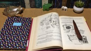 КАК ПРАВИЛЬНО ОФОРМИТЬ ВЗЯТУЮ АСКЕЗУ. ПРАКТИЧЕСКИЕ СОВЕТЫ.