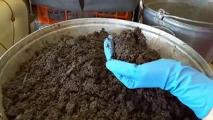 Биогумус. Чернозем собственного изготовления. Самая плодородная земля из органических отходов