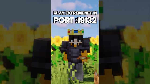 NEW Public Lifesteal SMP (My Own server) смотреть онлайн