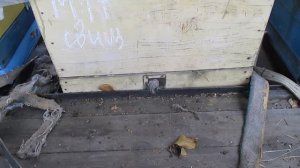 Придонная вентиляция улья зимой Леток в улье сзади