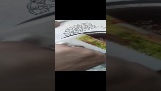 Готовлю гречневую кашу: ингредиенты