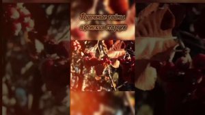 Духовные тайны афонских старцев     #старцы #святые #афон
