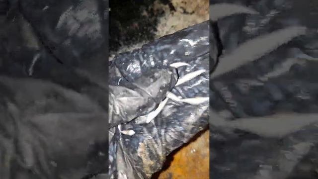 Отливки свинцом, отлив крадников
