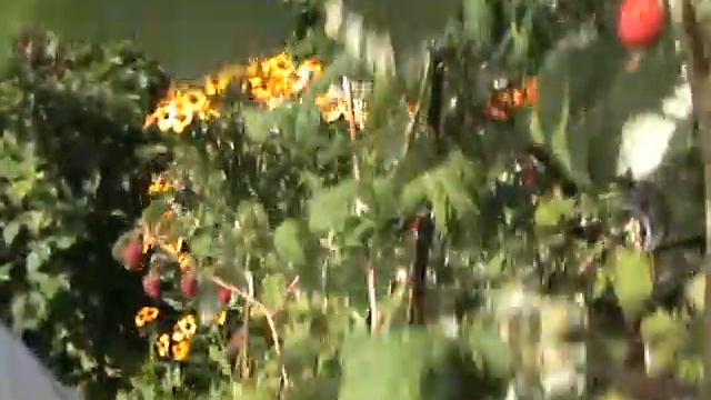 Малина Карамелька смотреть онлайн